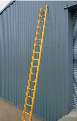 5 Metre Timber Pole Ladder